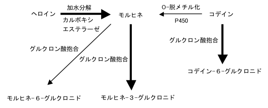 解説画像